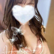 ヒメ日記 2025/08/11 08:58 投稿 柊(ひいらぎ) Anemone（アネモネ）