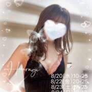 ヒメ日記 2025/08/18 15:53 投稿 柊(ひいらぎ) Anemone（アネモネ）