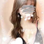 ヒメ日記 2025/09/07 08:38 投稿 柊(ひいらぎ) Anemone（アネモネ）