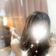 ヒメ日記 2025/11/24 07:25 投稿 柊(ひいらぎ) Anemone（アネモネ）