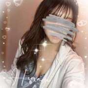 ヒメ日記 2025/11/28 07:26 投稿 柊(ひいらぎ) Anemone（アネモネ）