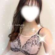 ヒメ日記 2025/11/29 07:10 投稿 柊(ひいらぎ) Anemone（アネモネ）