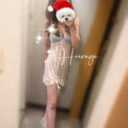 ヒメ日記 2025/12/16 06:30 投稿 柊(ひいらぎ) Anemone（アネモネ）