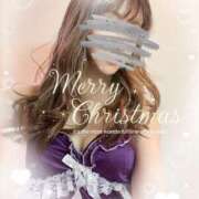 ヒメ日記 2025/12/17 10:57 投稿 柊(ひいらぎ) Anemone（アネモネ）