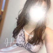 ヒメ日記 2025/12/18 06:00 投稿 柊(ひいらぎ) Anemone（アネモネ）