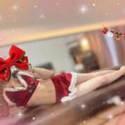 ヒメ日記 2025/12/21 09:15 投稿 柊(ひいらぎ) Anemone（アネモネ）