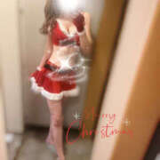 ヒメ日記 2025/12/24 06:58 投稿 柊(ひいらぎ) Anemone（アネモネ）