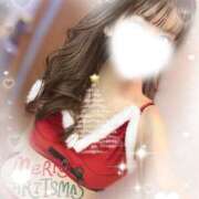 ヒメ日記 2025/12/25 07:22 投稿 柊(ひいらぎ) Anemone（アネモネ）