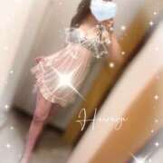 ヒメ日記 2025/12/26 13:01 投稿 柊(ひいらぎ) Anemone（アネモネ）