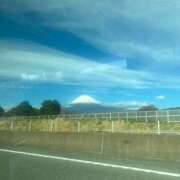 ヒメ日記 2026/01/12 20:17 投稿 柊(ひいらぎ) Anemone（アネモネ）