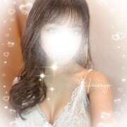 ヒメ日記 2026/01/31 02:11 投稿 柊(ひいらぎ) Anemone（アネモネ）