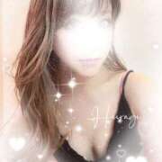 ヒメ日記 2026/02/02 12:15 投稿 柊(ひいらぎ) Anemone（アネモネ）