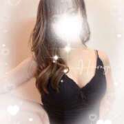 ヒメ日記 2026/02/04 09:20 投稿 柊(ひいらぎ) Anemone（アネモネ）