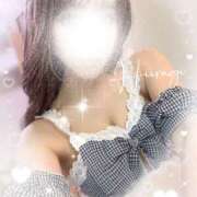 ヒメ日記 2026/02/06 05:15 投稿 柊(ひいらぎ) Anemone（アネモネ）