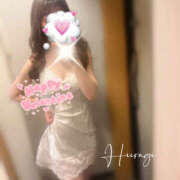 ヒメ日記 2026/02/14 07:43 投稿 柊(ひいらぎ) Anemone（アネモネ）