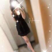 ヒメ日記 2026/02/23 09:22 投稿 柊(ひいらぎ) Anemone（アネモネ）