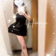 ヒメ日記 2026/03/06 23:30 投稿 柊(ひいらぎ) Anemone（アネモネ）