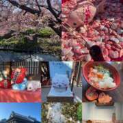 ヒメ日記 2026/03/08 20:56 投稿 柊(ひいらぎ) Anemone（アネモネ）