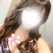 ヒメ日記 2026/03/20 08:54 投稿 柊(ひいらぎ) Anemone（アネモネ）