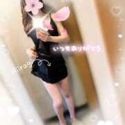 ヒメ日記 2026/04/05 09:17 投稿 柊(ひいらぎ) Anemone（アネモネ）