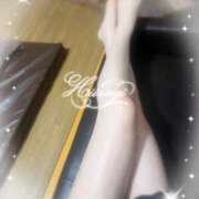 ヒメ日記 2026/04/13 00:03 投稿 柊(ひいらぎ) Anemone（アネモネ）