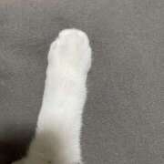 ヒメ日記 2026/04/03 10:53 投稿 うた Ange Spa(アンジュスパ)