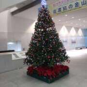 ヒメ日記 2024/12/24 17:02 投稿 浅井美紗 五十路マダム 新潟店(カサブランカグループ)