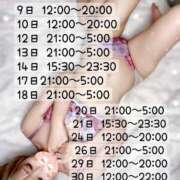 ヒメ日記 2024/12/21 15:30 投稿 せな 東京デザインリング錦糸町店