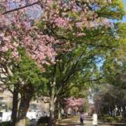 ヒメ日記 2025/03/10 18:01 投稿 桑田 熟女の風俗最終章　鶯谷店