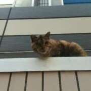 ヒメ日記 2025/04/26 13:17 投稿 桑田 熟女の風俗最終章　鶯谷店