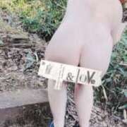 ヒメ日記 2025/05/08 07:16 投稿 桑田 熟女の風俗最終章　鶯谷店