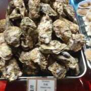 ヒメ日記 2025/11/01 09:17 投稿 桑田 熟女の風俗最終章　鶯谷店