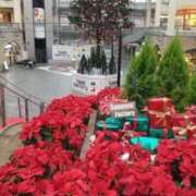 ヒメ日記 2025/12/11 19:16 投稿 桑田 熟女の風俗最終章　鶯谷店