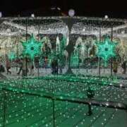 ヒメ日記 2025/12/11 23:53 投稿 桑田 熟女の風俗最終章　鶯谷店