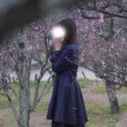 七瀬 るな 囲まれて🌟 Canx2京都店