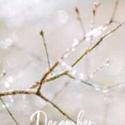 ヒメ日記 2024/12/26 16:24 投稿 あやめ 熟女の風俗最終章 仙台店