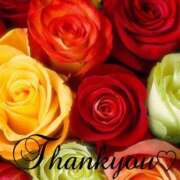 ヒメ日記 2024/12/29 05:24 投稿 あやめ 熟女の風俗最終章 仙台店