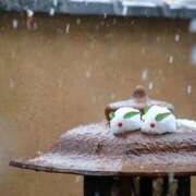 ヒメ日記 2025/02/17 16:24 投稿 あやめ 熟女の風俗最終章 仙台店