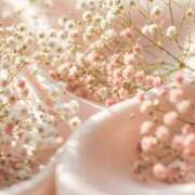 ヒメ日記 2025/04/14 16:24 投稿 あやめ 熟女の風俗最終章 仙台店