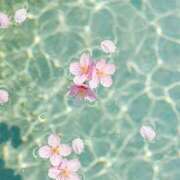 ヒメ日記 2025/04/28 17:08 投稿 あやめ 熟女の風俗最終章 仙台店