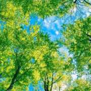 ヒメ日記 2025/05/26 16:14 投稿 あやめ 熟女の風俗最終章 仙台店