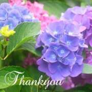 ヒメ日記 2025/06/25 03:44 投稿 あやめ 熟女の風俗最終章 仙台店