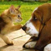 ヒメ日記 2025/09/29 16:34 投稿 あやめ 熟女の風俗最終章 仙台店