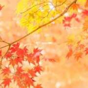 ヒメ日記 2025/10/27 17:05 投稿 あやめ 熟女の風俗最終章 仙台店