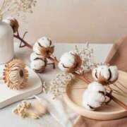 ヒメ日記 2026/02/16 17:43 投稿 あやめ 熟女の風俗最終章 仙台店