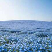 ヒメ日記 2026/03/30 16:34 投稿 あやめ 熟女の風俗最終章 仙台店