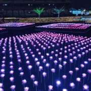 ヒメ日記 2024/12/12 15:15 投稿 ねむ 大宮baton