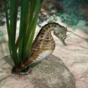 ヒメ日記 2026/02/20 10:47 投稿 みお ANNEX（アネックス）