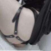 ヒメ日記 2025/11/16 23:57 投稿 淫乱子猫 変態素人嬢ダダモーレ