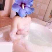 ヒメ日記 2025/04/07 09:45 投稿 新人・ほのか CLASSY.四日市店